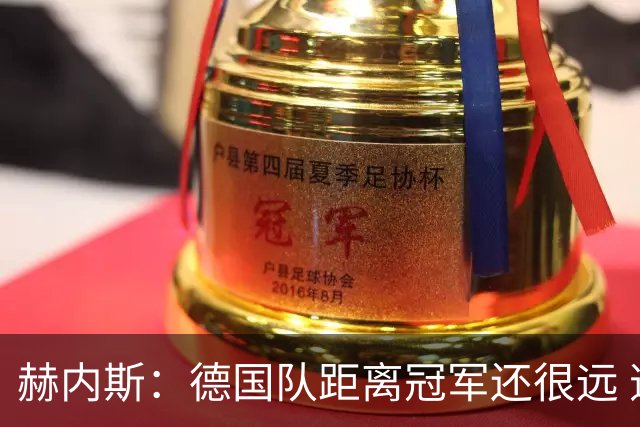 赫内斯：德国队距离冠军还很远 逆转很精彩而且纳帅换人很出色